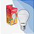 Lâmpada LED 12W 6500K Luz Branca Bivolt Ourolux - Imagem 1