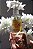Home Spray Laranja 140ml - Luz & Essência - Imagem 2