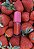 LIP JUICE MARI MARIA - Imagem 2