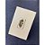 CJ TOMADA 20A VERTICAL 4X2 - RECTA AREIA SATIN FOSCO - Imagem 4