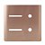 PLACA P/ 2 INTERRUPTORES + 2 FUROS COM SUPORTE 4X4 NOVARA  OURO ROSE - Imagem 1