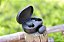 Airdots Fone Bluetooth Sem Fio TWS – Som Imersivo e Liberdade Total - Imagem 4