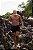 Short linho Gostoso 1.0 - Preto - Imagem 9