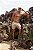 Short linho Gostoso 1.0 - Caqui - Imagem 13