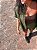 Camisa Linho Verde Militar - Imagem 2