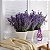 Limpador Perfumado Casa E Perfume Passione Passione - Imagem 4