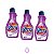 LIMPADOR PERFUMADO CASA E PERFUME PASSIONE Kit 3 - Imagem 1