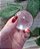 Esfera Cristal de Quartzo Transparente - Imagem 2