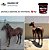 1KG EQUINO VIP POTROS - Imagem 6
