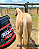 5KG EQUINO VIP POTROS - Imagem 3