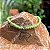 Mix Pulseiras I Love Horse - Imagem 3