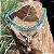 Colar de Couro Country Cranio LongHorn - Diversas Cores Dourado - Imagem 2