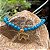 Mix de Pulseiras I Love Horse 2 - Imagem 3