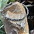 Choker Country de Brilho Crânio LongHorn - Diversas Cores - Imagem 2