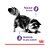 Ração Úmida Royal Canin Controle do Apetite para Gatos Adultos 85g - Imagem 2