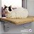 Spacecat Lunar - Imagem 2