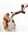 Brinquedo Mordedor Benebone Maplestick - Imagem 4