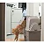 Sanitário para gato Easy Clean - Imagem 3