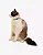 Coleira de Gato U Maresia - Imagem 2
