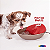 Fonte Petit Gold Vermelha para Cães e Gatos 110V - Imagem 2