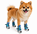 Sapatos para cachorro - Imagem 4