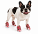 Sapatos para cachorro - Imagem 2