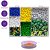 Kit miçanga Infantil Copa do Mundo Pulseira Colar 1200pç - Imagem 2