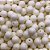 Miçanga Bola Leitosa de 8mm 100g Diversas Cores - 380 Peças - Imagem 9