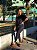 Conjunto Feminino Liti PReto - Imagem 4