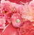 The Icon Splendid edp 100ml - Antonio Banderas - Imagem 3