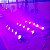 Kit 4 Canhões de Luz PLS PROPAR LED 54 RGBW Outdoor 5W - LOCAÇÃO - Imagem 4