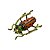 Broche Escaravelho - Imagem 1