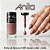 ESMALTE COLEÇÃO FERIAS DE INVERNO ANITA 8ML - Imagem 3