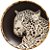 CONJUNTO PRATOS RASOS COLEÇÃO ANIMAL PRINT - Imagem 5