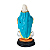 Imagem de Nossa Senhora das Medalhas P em Resina - A Peça - Cód.: 8564 - Imagem 4