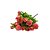 Buque de Rosas - Modelos Sortidos - O Pacote com 3 unidades - Cód.: 2864 - Imagem 3