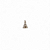Sacro - Imagem 1