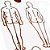 Gráfico Figura Humana Placa Radiônica Grande PVC - Imagem 4