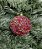 Bola natal decorada 8cm 3 unidades vermelho - Imagem 1