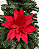 H.BICO PAPAGAIO NATAL AVELUDADO (VERMELHO) 31cm - Imagem 1