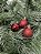 BOLA NATAL EM TUBO MISTA C/12 UND (VERMELHO) 3cm - Imagem 2