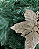 H.BICO PAPAGAIO GLITTER (CHAMPANHE) 13cm - Imagem 2
