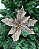 Poinsetia Xadrez Bege 50cm FL437 - Imagem 1