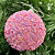 Bola decorada rosa 10 cm c/3 - Imagem 1