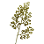 Folha decorativo dourado - Imagem 1
