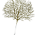 FOLHA GRASS NATAL C/GLITTER DOURADO - Imagem 1