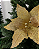 Poinsetia Do 30 cm - Imagem 2