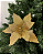 Poinsetia Do 30 cm - Imagem 1