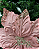 POINSETIA ROSA (FLOR CABO CURTO) - Imagem 2