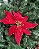 H.BICO PAPAGAIO NATAL AVELUDADO (VERMELHO) 20cm - Imagem 1